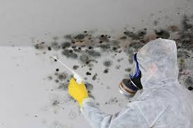 Best Water Damage & Mold Remediation  in Grenelefe, FL